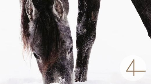 منزل ﻓﻲ Windigsteig, Politischer Bezirk Waidhofen an der Thaya