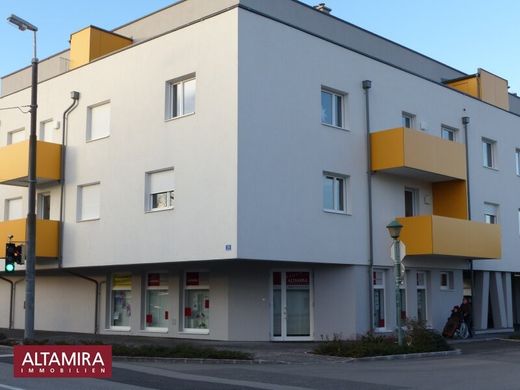 Office in Wiener Neudorf, Politischer Bezirk Mödling