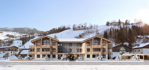 Apartament w Schladming, Politischer Bezirk Liezen
