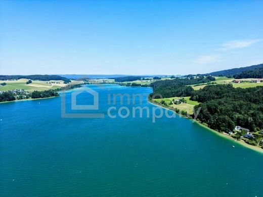 Teren w Mattsee, Politischer Bezirk Salzburg-Umgebung