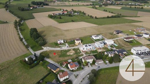 Land in Pollham, Politischer Bezirk Grieskirchen