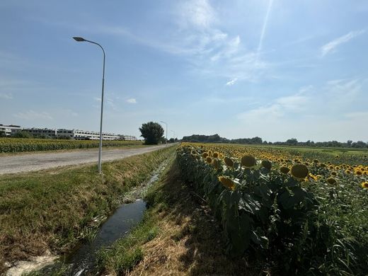 Terreno en Neusiedl am See, Politischer Bezirk Neusiedl am See