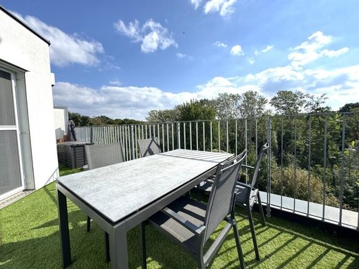 Daire Viyana, Wien Stadt