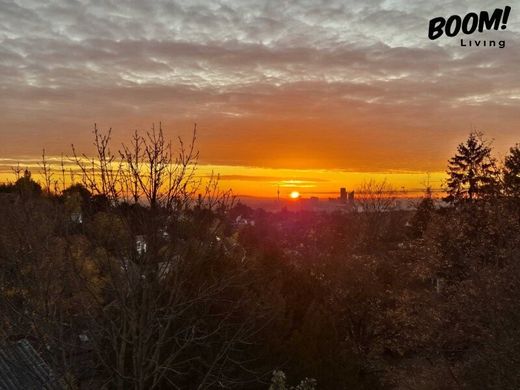 Daire Viyana, Wien Stadt