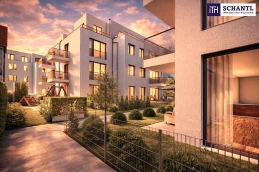 Daire Groß-Enzersdorf, Politischer Bezirk Gänserndorf