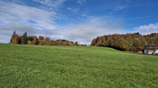 Terreno a Bergheim, Politischer Bezirk Salzburg-Umgebung