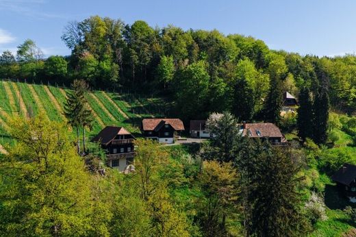 Luxury home in Gamlitz, Leibnitz
