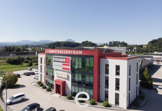 Office in Vorchdorf, Politischer Bezirk Gmunden