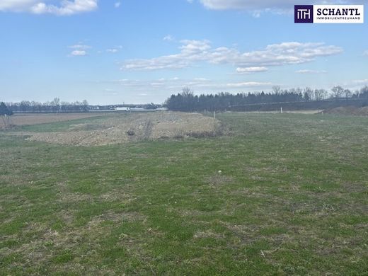 Terrain à Sankt Veit am Vogau, Politischer Bezirk Leibnitz