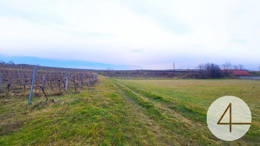 Terreno en Diendorf am Kamp, Politischer Bezirk Krems