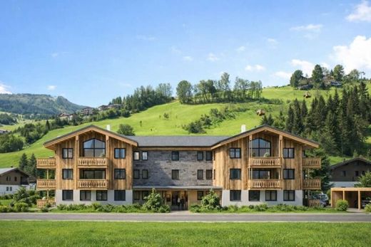 Apartament w Schladming, Politischer Bezirk Liezen