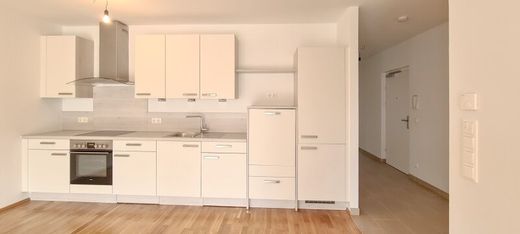 Apartment in Fels am Wagram, Politischer Bezirk Tulln