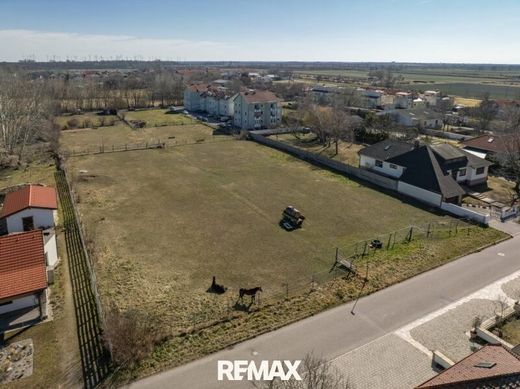 Land in Gols, Politischer Bezirk Neusiedl am See