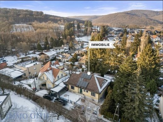 Luksusowy dom w Breitenfurt bei Wien, Politischer Bezirk Mödling