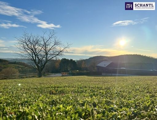 토지 / Zienitzen, Politischer Bezirk Sankt Veit an der Glan