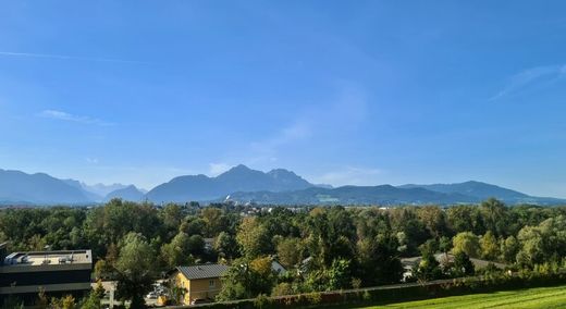 Apartamento - Bergheim, Politischer Bezirk Salzburg-Umgebung