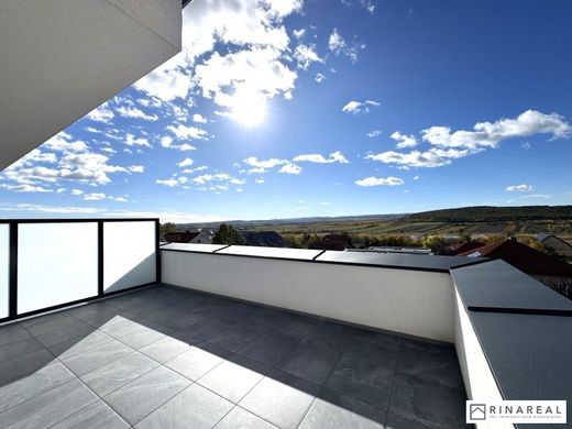 호화 저택 / Grosshöflein, Eisenstadt-Umgebung