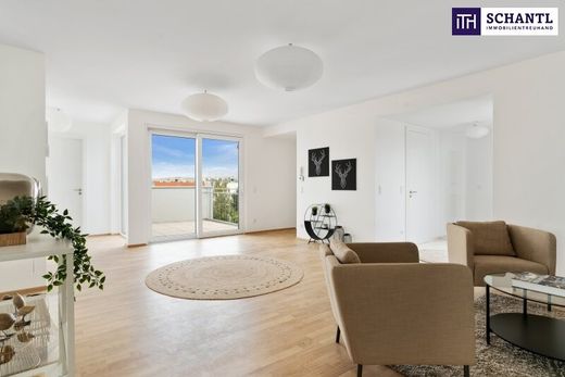 Penthouse in Vienna, Wien Stadt