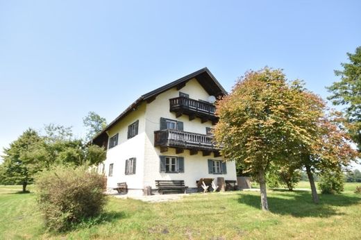 Fazenda - Salzburgo, Salzburg