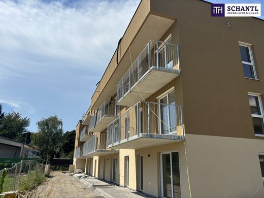 Apartamento - Kalsdorf bei Graz, Politischer Bezirk Graz-Umgebung