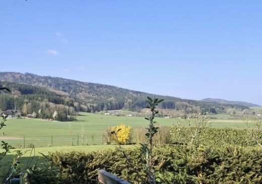 Terreno - Berg, Politischer Bezirk Vöcklabruck