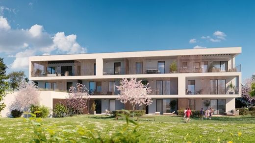 Daire Graz, Graz Stadt