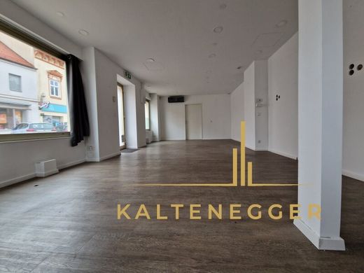 Office in Neunkirchen, Politischer Bezirk Neunkirchen