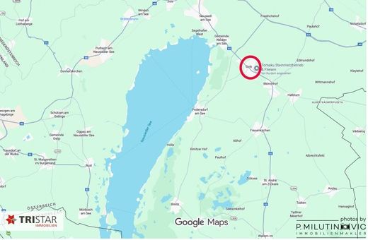 Land in Gols, Politischer Bezirk Neusiedl am See