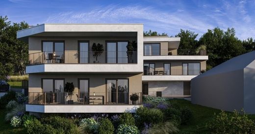 Apartment in Thalheim bei Wels, Wels-Land