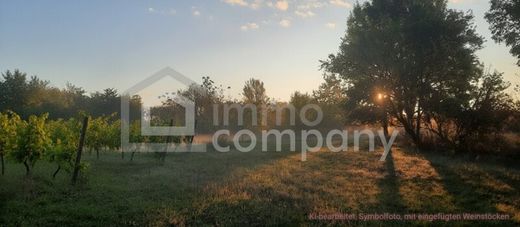 Grundstück in Illmitz, Politischer Bezirk Neusiedl am See