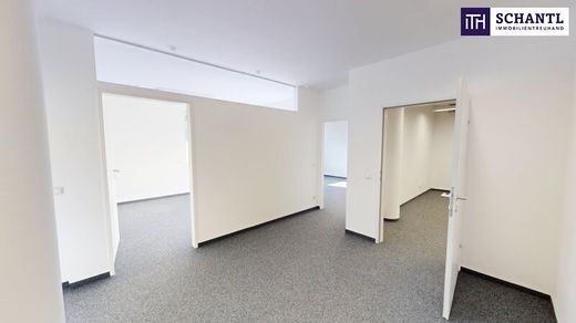 Biuro w Graz, Graz Stadt