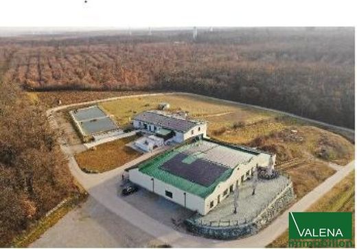 Çiftlik evi Groß-Schweinbarth, Politischer Bezirk Gänserndorf