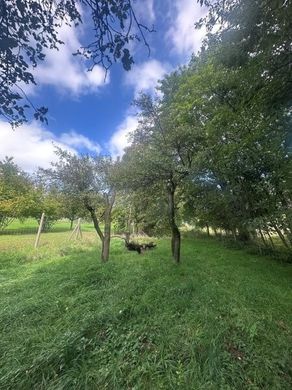 Grond in Enzersfeld, Politischer Bezirk Korneuburg