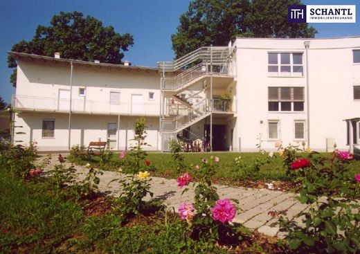 Apartamento - Wagna, Politischer Bezirk Leibnitz