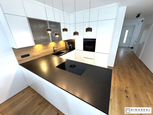 Lüks ev Seibersdorf, Politischer Bezirk Baden