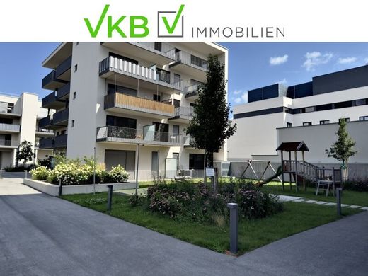 Biuro w Wels, Wels Stadt