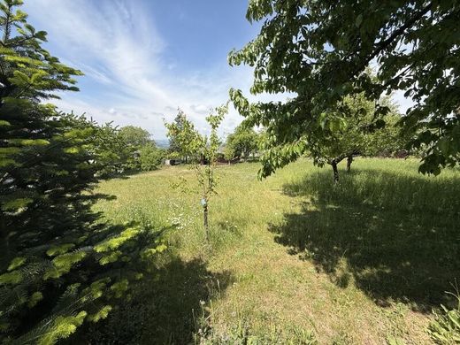 Land in Wartberg ob der Aist, Politischer Bezirk Freistadt