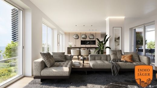 ‏דירת פנטהאוז ב  לינץ, Linz Stadt