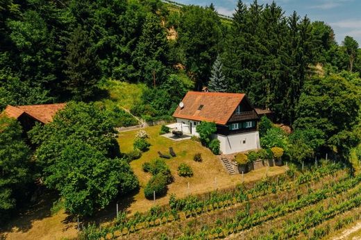 Luxury home in Grassnitzberg, Leibnitz