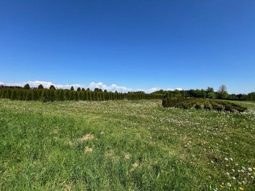 Farma w Weisskirchen an der Traun, Wels-Land