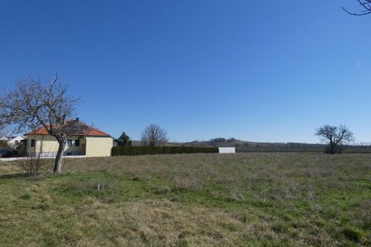 Land in Gols, Politischer Bezirk Neusiedl am See
