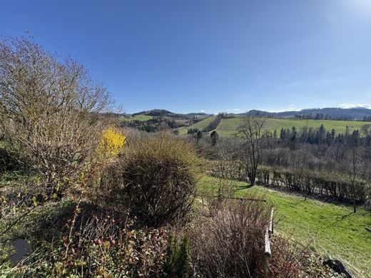 Luxury home for sale in Kaufmannberg