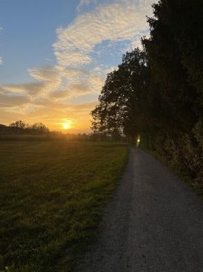 Terrain à Eugendorf, Politischer Bezirk Salzburg-Umgebung