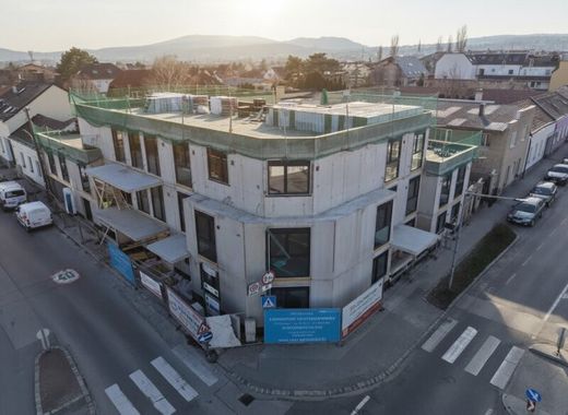 Daire Brunn am Gebirge, Politischer Bezirk Mödling