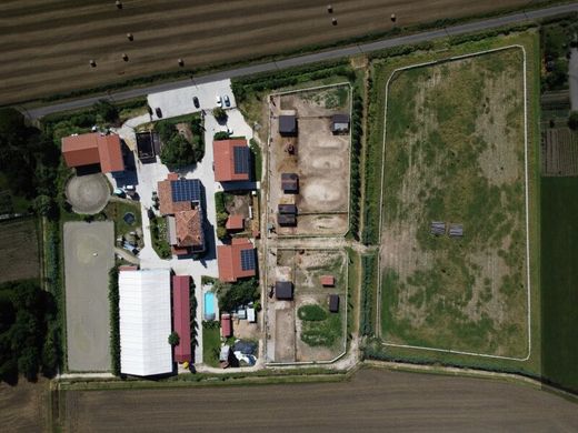 Fattoria a Venezia, Veneto