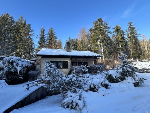 Maiersdorf, Politischer Bezirk Wiener Neustadtの高級住宅