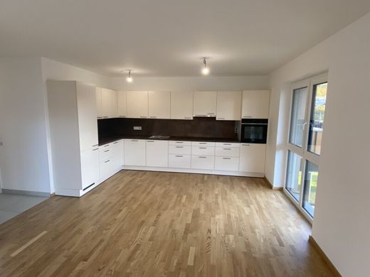 ﺷﻘﺔ ﻓﻲ Bisamberg, Politischer Bezirk Korneuburg