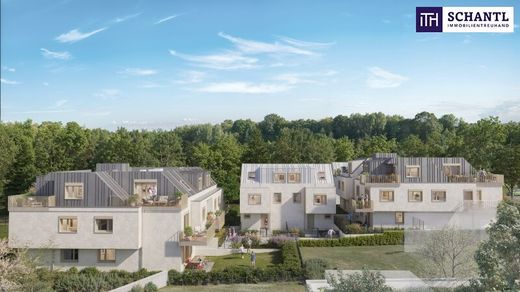 Apartment in Vienna, Wien Stadt