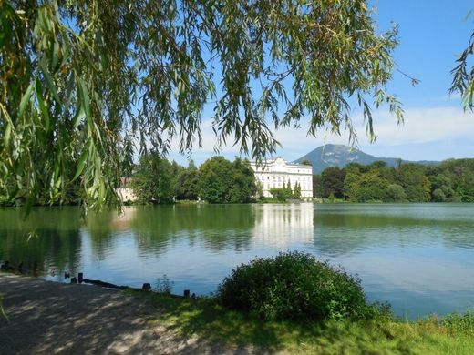 Αγροτεμάχιο σε Σάλτσμπουργκ, Salzburg