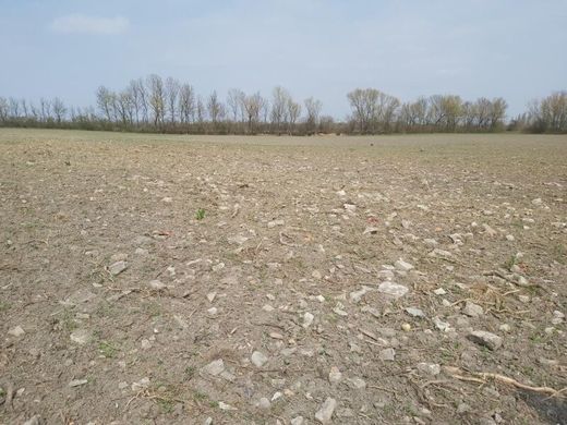 Terrain à Enzersdorf an der Fischa, Politischer Bezirk Bruck an der Leitha